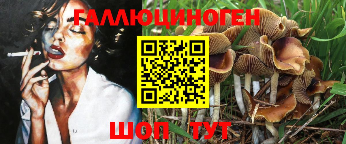 Псилоцибиновые грибы MAGIC MUSHROOMS  Вход с VPN  Вольск 